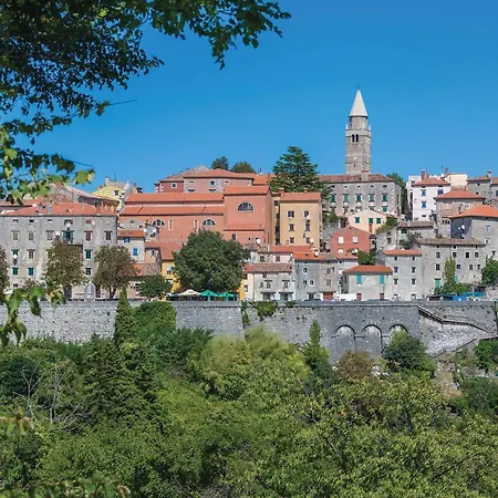 Xii * Nedeščina